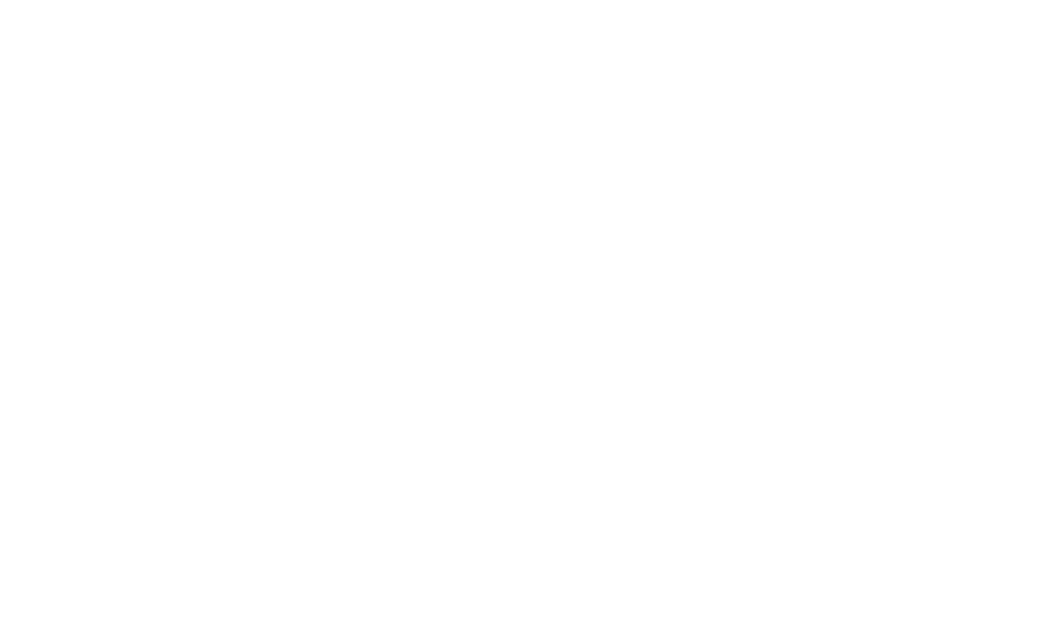Logo gara